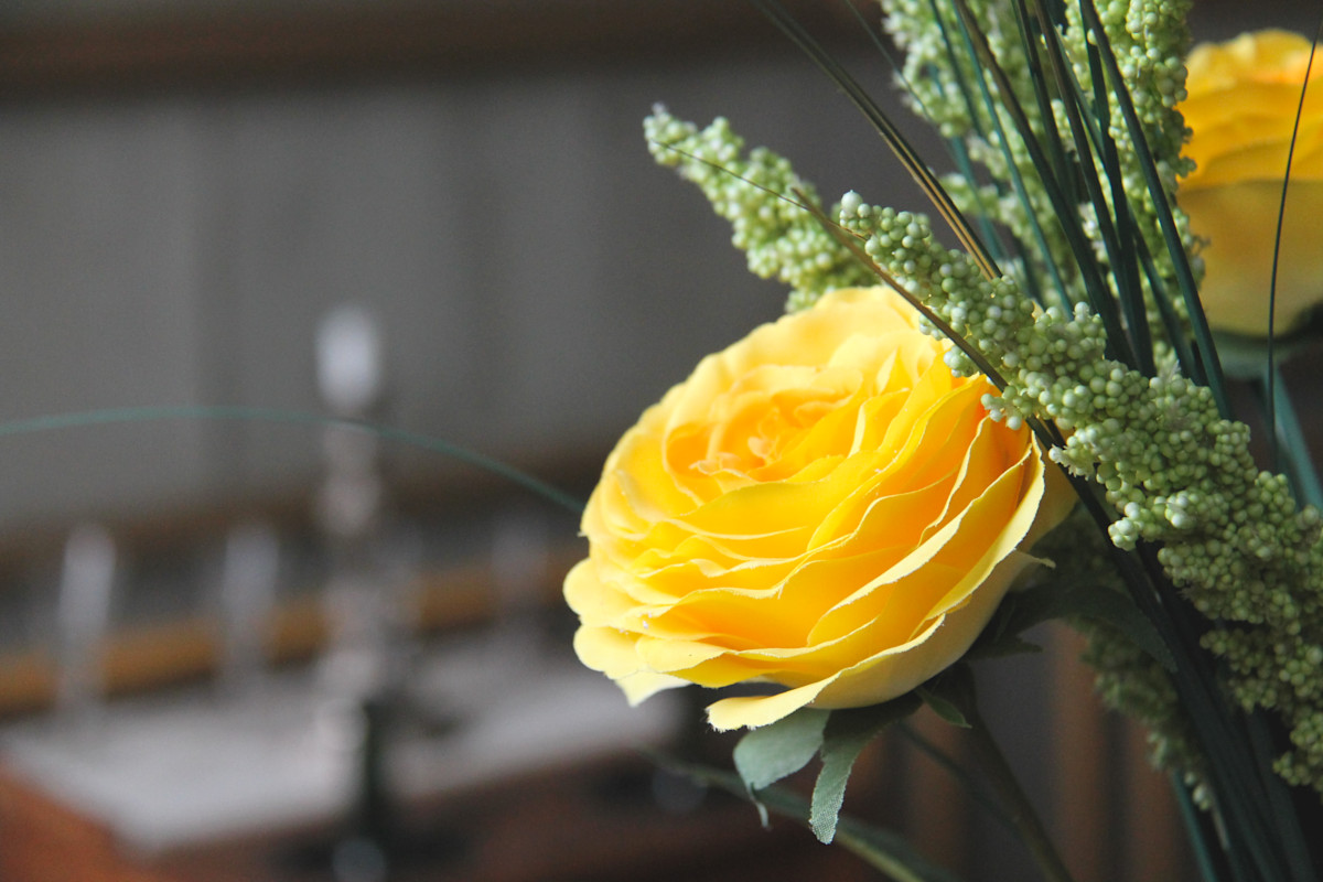 Rose jaune dans la salle Tonnay-Charente du musée Dupuy-Mestreau de Saintes
