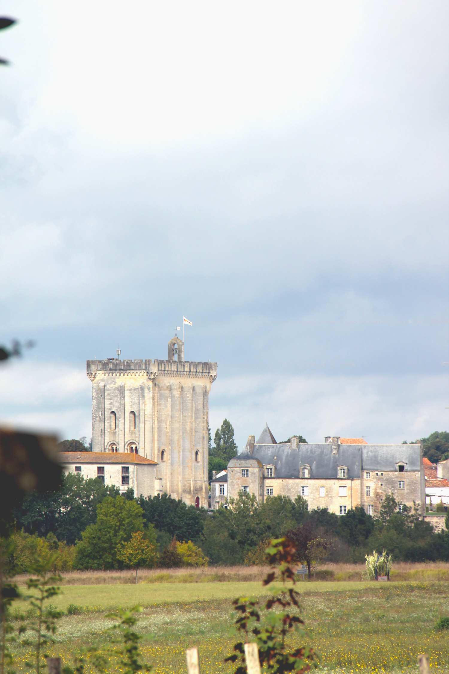 Vue sur le Donjon de Pons depuis le Château des Enigmes